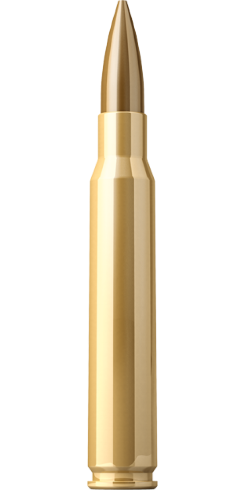 bullet